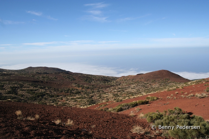 Las Canadas 3.jpg - Nationalpark Teide Las Canadas